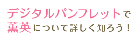 デジタルパンフレットで薫英について詳しく知ろう！